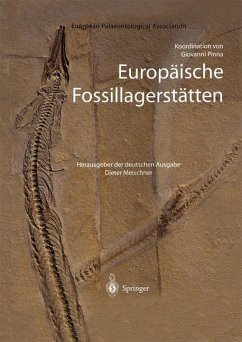 Europäische Fossillagerstätten (eBook, PDF)