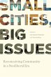 Small Cities, Big Issues (eBook, ePUB) - Bild 1