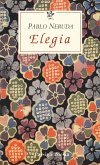 Elegia. Testo spagnolo a fronte Elegia. Testo spagnolo a fronte