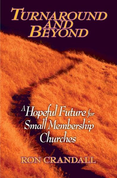 Turnaround and Beyond (eBook, ePUB)