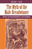 The Myth Of The Male Breadwinner (eBook, PDF)