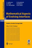 Mathematical Aspects of Evolving Interfaces (eBook, PDF)
