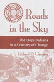 Roads In The Sky (eBook, ePUB)