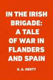 In the Irish Brigade: A Tale of War in Flanders and Spain (eBook, ePUB)