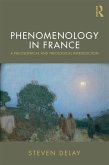 Phenomenology in France (eBook, PDF)