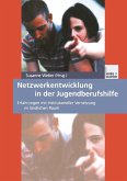 Netzwerkentwicklung in der Jugendberufshilfe (eBook, PDF)