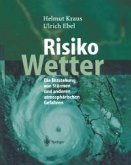 Risiko Wetter (eBook, PDF)