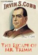 The Escape of Mr. Trimm (eBook, ePUB) - Bild 1