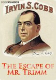 The Escape of Mr. Trimm (eBook, ePUB)