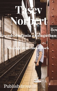 Csendszimfónia az alagútban (eBook, ePUB) - Norbert, Tasev