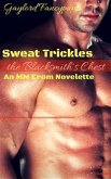 Sweat Trickles Down the Blacksmith's Chest (eBook, ePUB)