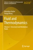 Fluid and Thermodynamics (eBook, PDF)
