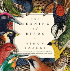 The Meaning of Birds - Barnes, Simon