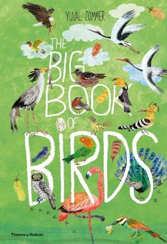 The Big Book of Birds - Zommer, Yuval