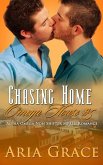 Chasing Home: An Alpha / Omega Mpreg