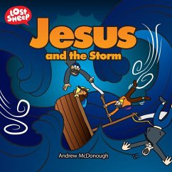 Jesus and the Storm - Mcdonough, Andrew