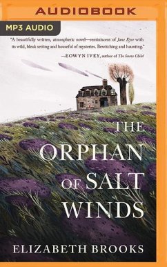 The Orphan of Salt Winds - Brooks, Elizabeth