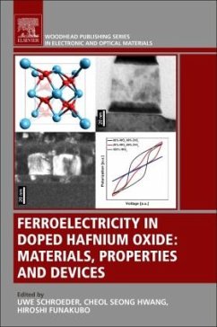 Ferroelectricity in Doped Hafnium Oxide