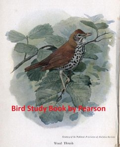 Bird Study Book (eBook, ePUB) - Pearson, T. Gilbert
