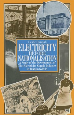 Electricity Before Nationalisation (eBook, PDF)