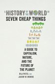 A History of the World in Seven Cheap Things (eBook, ePUB)