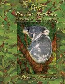 Tiwi, the Lost Baby Koala of Magnetic Island, Australia