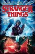Stranger Things: The Other Side... - Bild 1