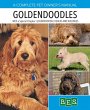 Goldendoodles - Bild 1