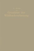 Grundriß der Wildbachverbauung (eBook, PDF)