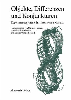 Objekte - Differenzen - Konjunkturen (eBook, PDF)