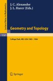 Geometry and Topology (eBook, PDF)