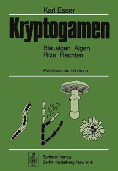 Kryptogamen (eBook, PDF) - Esser, Karl
