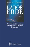 Labor Erde (eBook, PDF)