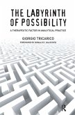 The Labyrinth of Possibility (eBook, ePUB)