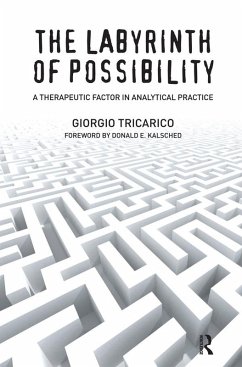 Cover The Labyrinth of Possibility (eBook, ePUB)