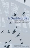 Sudden Sky (eBook, ePUB)