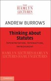 Thinking about Statutes (eBook, ePUB)