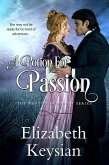 A Potion for Passion (eBook, ePUB)