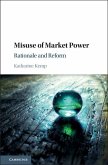 Misuse of Market Power (eBook, ePUB)