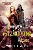 In the Tower of the Wizard King (Age of Wizards, #1) (eBook, ePUB)
