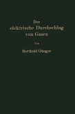 Der elektrische Durchschlag von Gasen (eBook, PDF)