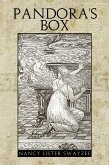 Pandora's Box (eBook, ePUB)