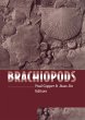 Brachiopods (eBook, ePUB) - Bild 1