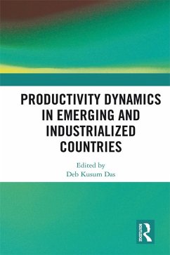Productivity Dynamics in Emerging and Industrialized Countries (eBook, PDF)