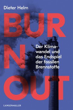 Burn Out (eBook, ePUB) - Helm, Dieter