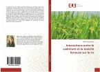 Interactions entre le cadmium et la toxicité ferreuse sur le riz