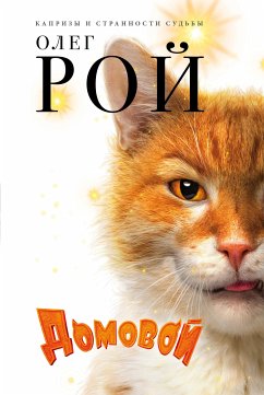 Домовой (eBook, ePUB) - Рой, Олег