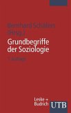 Grundbegriffe der Soziologie (eBook, PDF)