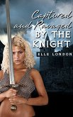 Captured And Ravaged In Public By The Knight (eBook, ePUB)