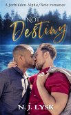 Not Destiny (Rules to Break, #1) (eBook, ePUB) Not Destiny (Rules to Break, #1) (eBook, ePUB)